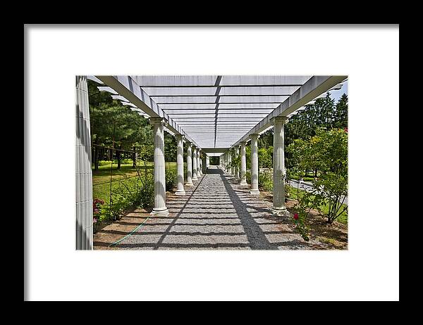 Geometric Framed Print featuring the photograph Geometric View by Marisa Geraghty Photography