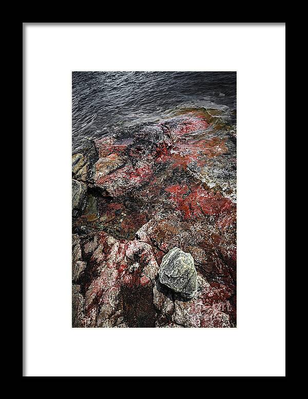 Rocks Framed Print featuring the photograph Georgian Bay rocks abstract III by Elena Elisseeva