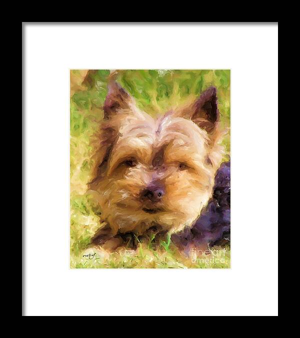 Art;dog;yorkie;pet;animals;cute;digital Painting;digital Art;unique;one Of A Kind Framed Print featuring the digital art Georgie Yorkie by Ruby Cross