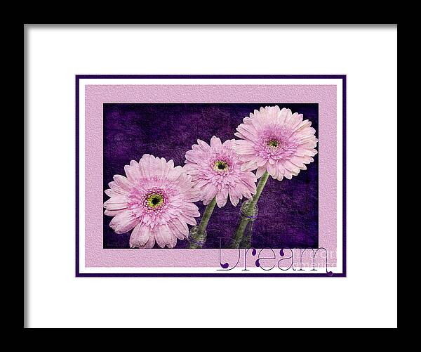 Gerber Framed Print featuring the photograph Gerber Daisy Dream 7 by Andee Design