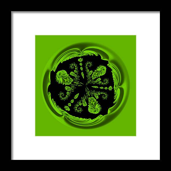 Florals Framed Print featuring the photograph Gerbia Daisy digitized Orb by Bill Barber