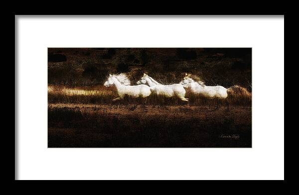 Horses Framed Print featuring the photograph Ghost Horses by Karen Slagle