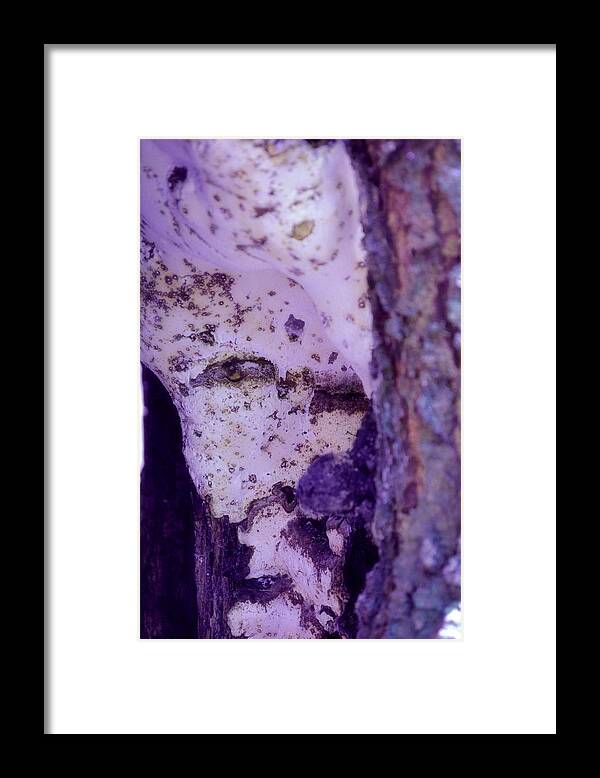 Ghost Framed Print featuring the photograph Ghost in the Tree by Laureen Murtha Menzl
