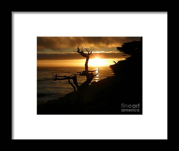 Ghost Tree Framed Print featuring the photograph Ghost Tree at Sunset by Bev Conover