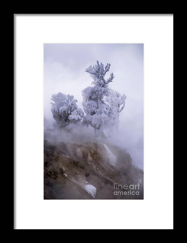 Scenic Framed Print featuring the photograph Ghost Tree by Richard Verkuyl