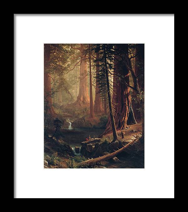  Albert Bierstadt Framed Print featuring the painting Giant Redwood Trees of California by Albert Bierstadt