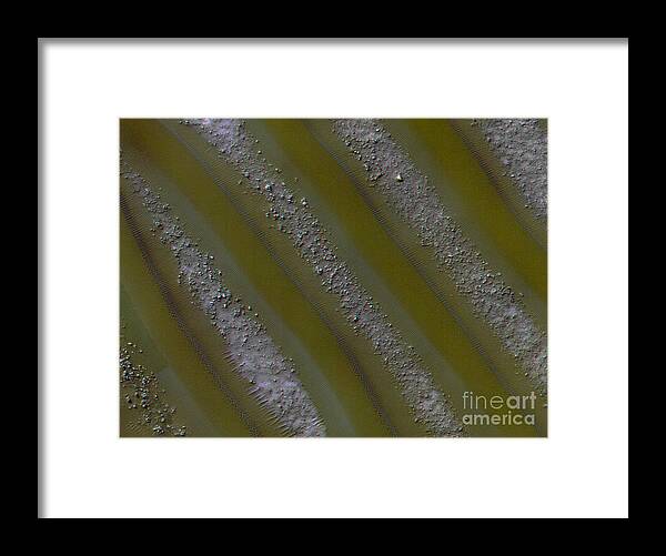 Stonehenge Framed Print featuring the photograph Giant Stone Groupings - Mars 3D by Freyk John Geeris