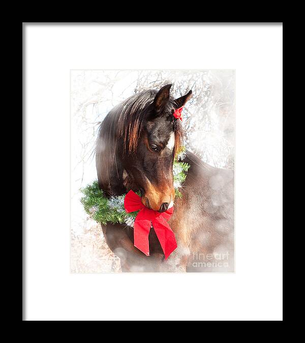 Cute Framed Print featuring the photograph Gift Horse by Sari ONeal