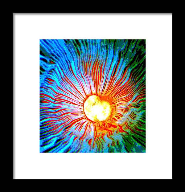 Gills Framed Print featuring the photograph Gills by Deena Stoddard