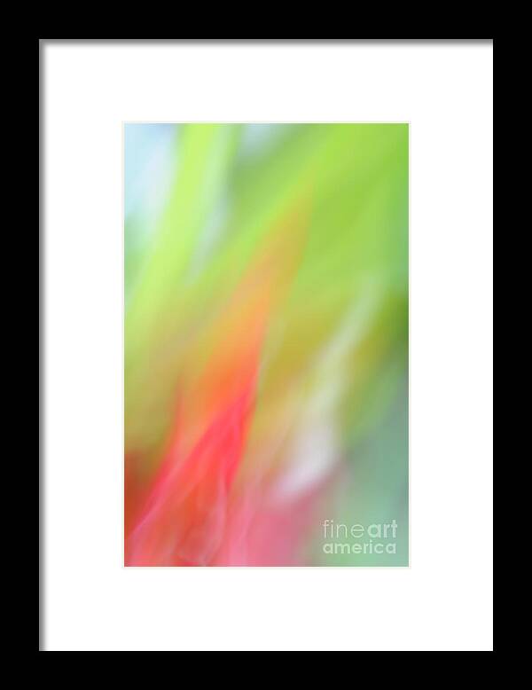 Flower Framed Print featuring the photograph Ginger Flower Abstract 2 by Catherine Lau