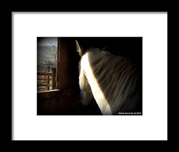 Horse Framed Print featuring the photograph Gitchie by Rabiah Seminole