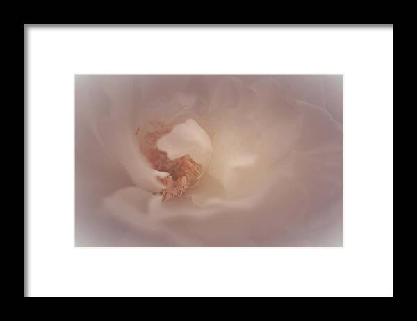 Rose Art Framed Print featuring the photograph Giving Angel by The Art Of Marilyn Ridoutt-Greene
