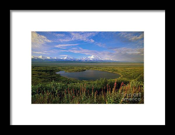 00340579 Framed Print featuring the photograph Glacial Kettle Pond And Denali by Yva Momatiuk John Eastcott