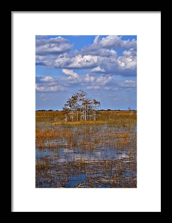 Florida Framed Print featuring the photograph Glades by Matthew Pace