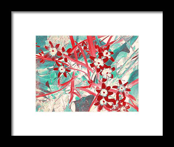 Chionodoxa Framed Print featuring the photograph Glory of the Snow - Red and Turquoise by Shawna Rowe