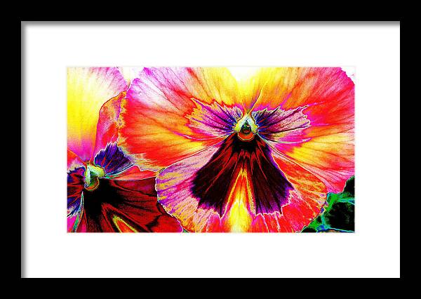 Pansy Framed Print featuring the digital art Glowing Pansey by Suzanne Silvir