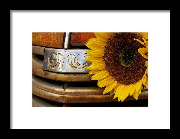 Steven Bateson Framed Print featuring the photograph GMC Sunflower by Steven Bateson