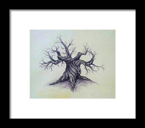 Gnarled Tree Pen Ink Paper Austin Texas Framed Print featuring the drawing Gnarled Tree by Troy Caperton