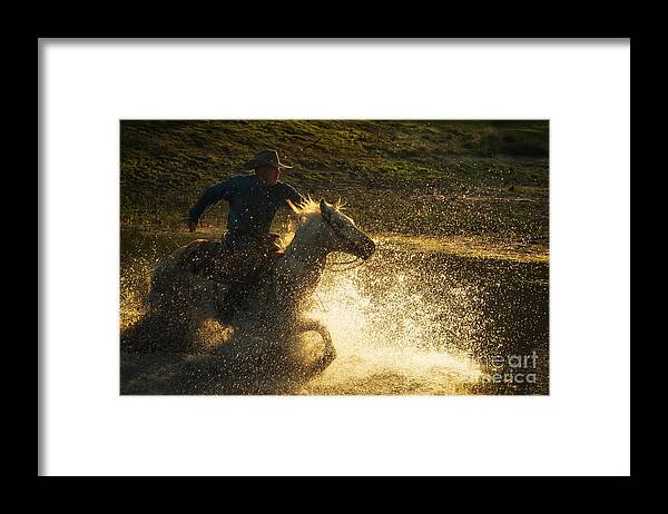 Cowboy Framed Print featuring the photograph Go Cowboy by Ana V Ramirez