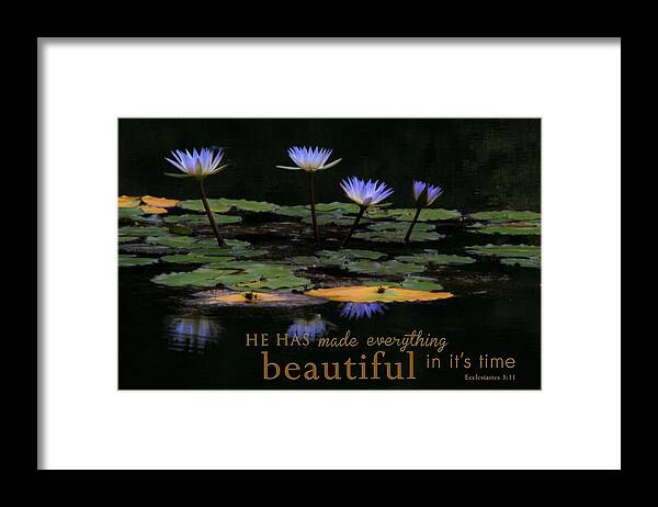 Flower Photography Framed Print featuring the photograph Peace of Mind with Message by Mary Buck