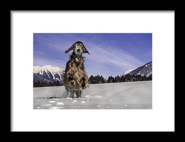 Landscape Framed Print featuring the photograph Godzilla by Robert Krajnc