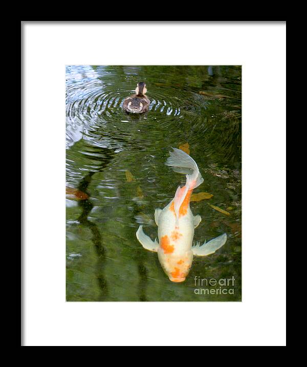 Fauna Framed Print featuring the photograph Going Their Separate Ways by Mariarosa Rockefeller