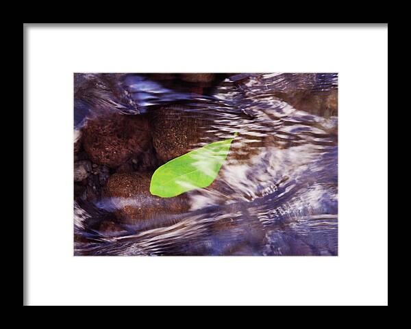 River Framed Print featuring the photograph Going with the flow by James Knight