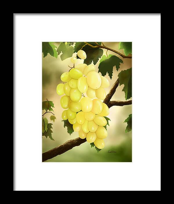 Grapes Framed Print featuring the painting Golden Cluster by Sena Wilson