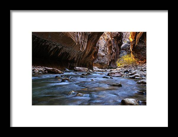 Autumn Framed Print featuring the photograph Golden Cottonwoods in the Narrows by Andrew Soundarajan