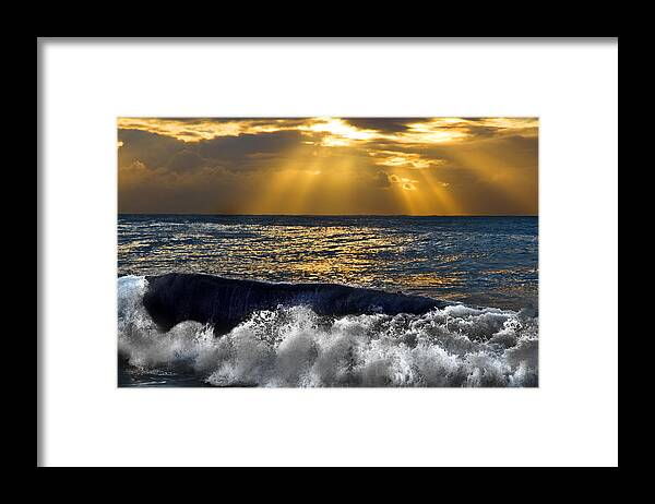 #dee Why Framed Print featuring the photograph Golden eye of the morning by Miroslava Jurcik