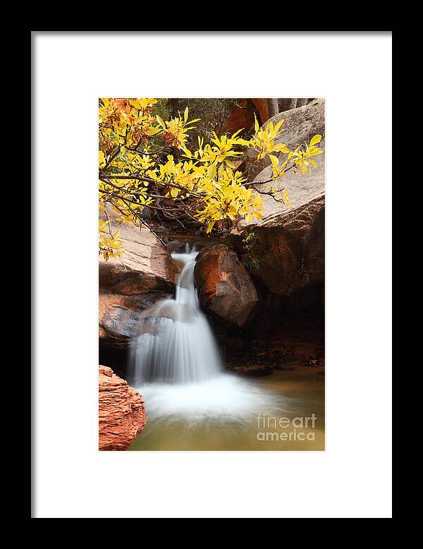 Landscape Framed Print featuring the photograph Golden Fall by Bill Singleton