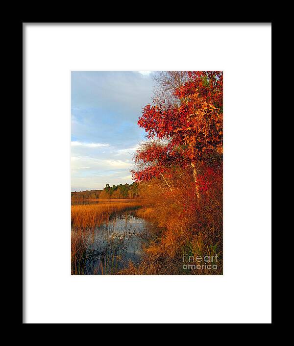 Pond Framed Print featuring the photograph Golden Glow III by Lili Feinstein