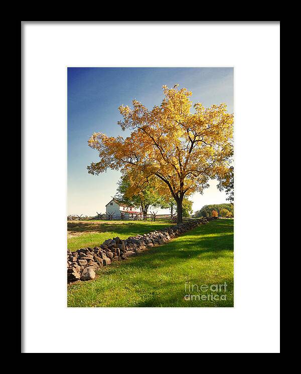 Gettysburg Framed Print featuring the photograph Golden Leaves of Gettysburg by SCB Captures