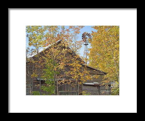 Autumn Framed Print featuring the photograph Golden Oldies by Ann Horn