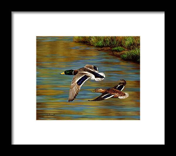 Duck Framed Print featuring the painting Golden Pond by Crista Forest