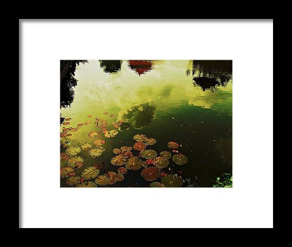 Pond Framed Print featuring the photograph Golden Pond by Yen