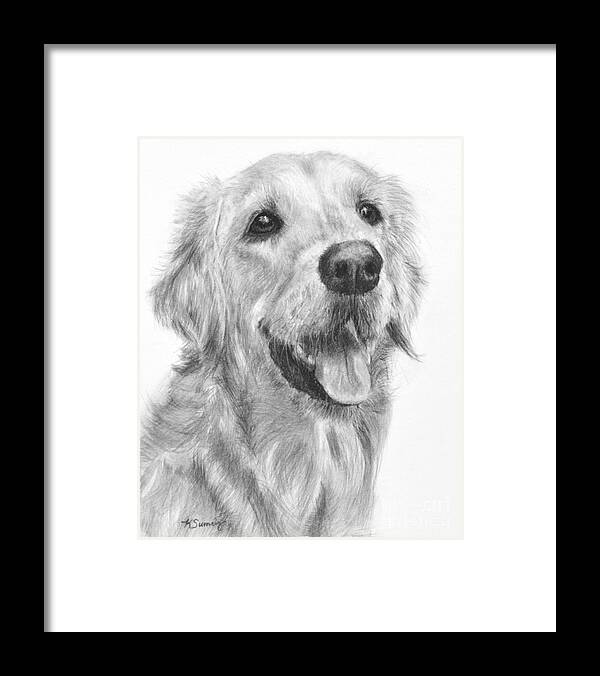 Golden Retriever Framed Print featuring the drawing Golden Retriever Duncan by Kate Sumners