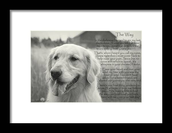Quote Framed Print featuring the photograph Golden Retriever The Way by Sue Long
