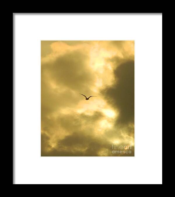 Birds Framed Print featuring the photograph Golden Sky by Gallery Of Hope 