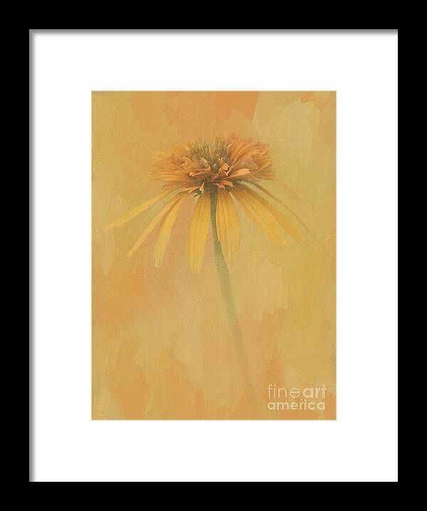 Coneflower Framed Print featuring the digital art Golden Sunshine by Jayne Carney