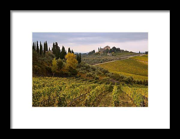 Italy Framed Print featuring the photograph Golden Tuscany by Joe Bonita