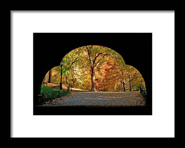 Central Park Framed Print featuring the photograph Golden Underpass by S Paul Sahm