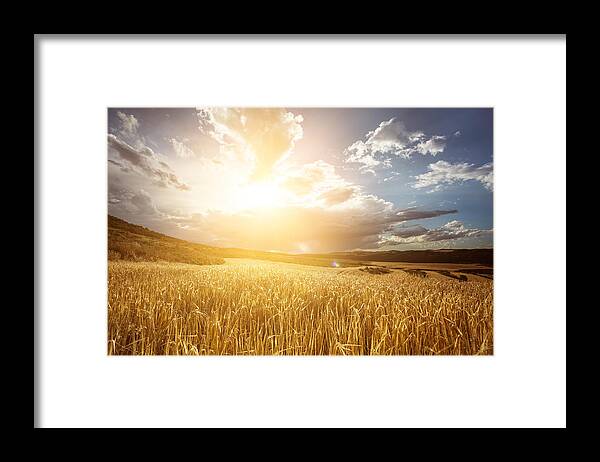 Scenics Framed Print featuring the photograph Golden wheat field under beautiful sunset sky by Sankai