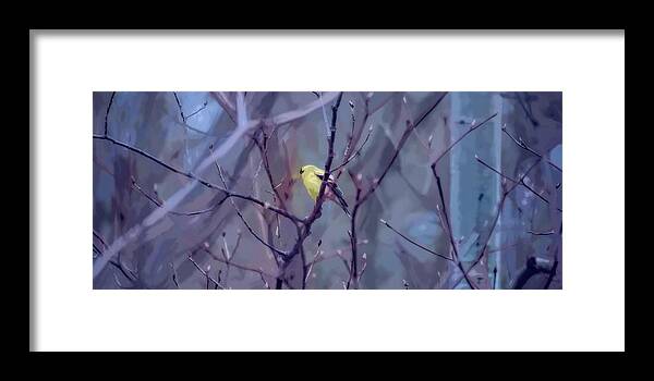 Goldfinch Framed Print featuring the photograph Goldfinch in the Woods 2 by Henry Kowalski