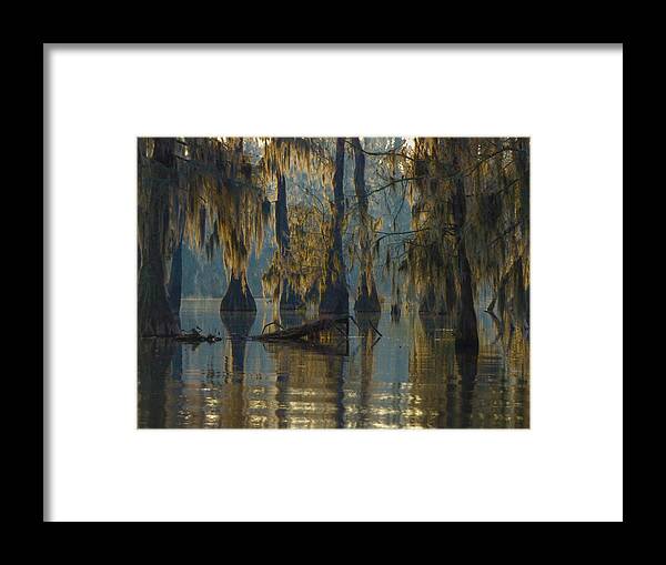 Orcinusfotograffy Framed Print featuring the photograph Gone Deep by Kimo Fernandez