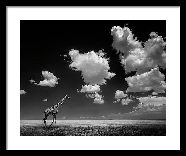 Nature Framed Print featuring the photograph Gone With The Clouds by Alberto Ghizzi Panizza