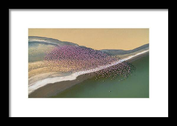 Kenya Framed Print featuring the photograph Gone With The Wind by John Fan