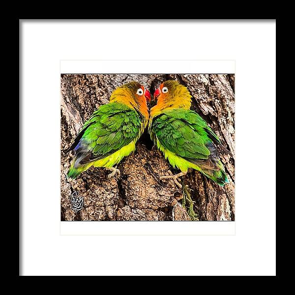 Omg Framed Print featuring the photograph Good Morning Igers, A Couple Of Love by Ahmed Oujan