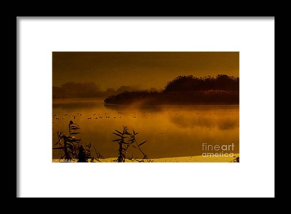Nature Framed Print featuring the photograph Good Morning Lake hula 03 by Arik Baltinester