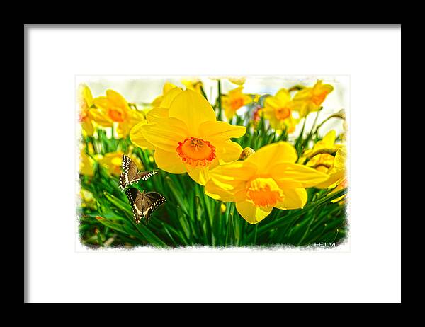  Flower Paintings Paintings Photographs Framed Print featuring the photograph Good morning by Mayhem Mediums